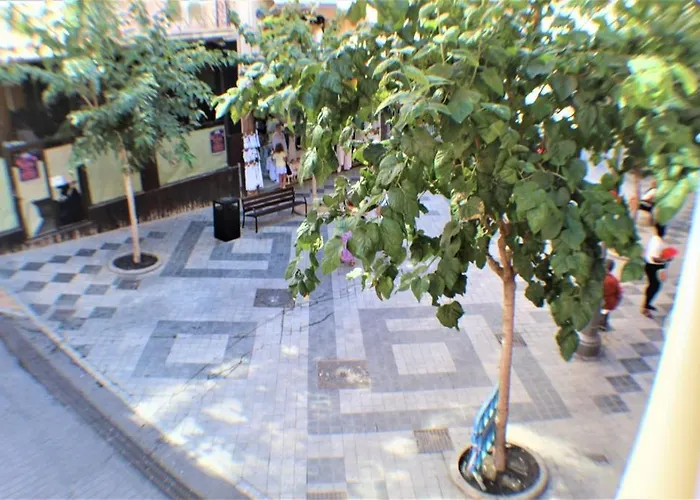 Alameda 31-1A Centro Beach